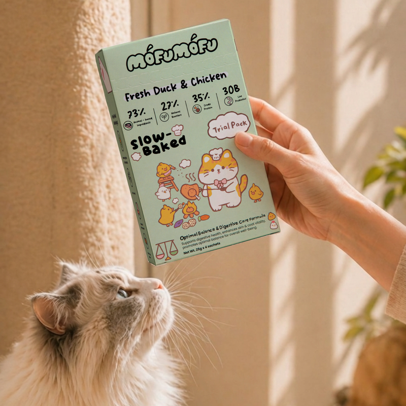 Find the right start for your cat