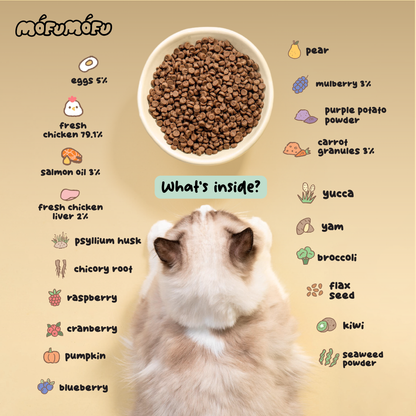 Slow-Baked / Fresh Chicken & Superfoods - Signature High Nutrition Formula