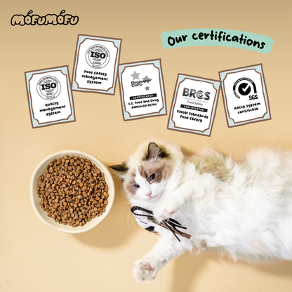 Slow-Baked / Fresh Chicken & Superfoods - Signature High Nutrition Formula