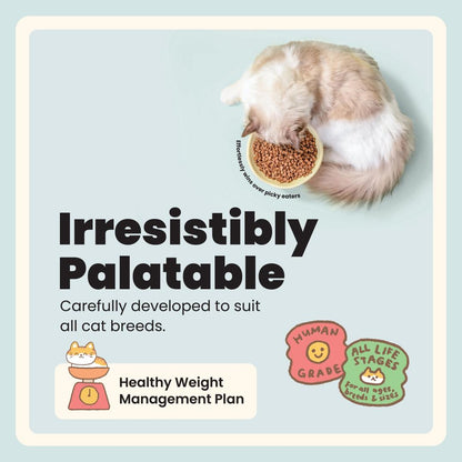 Slow-Baked / Fresh Chicken & Superfoods - Signature High Nutrition Formula