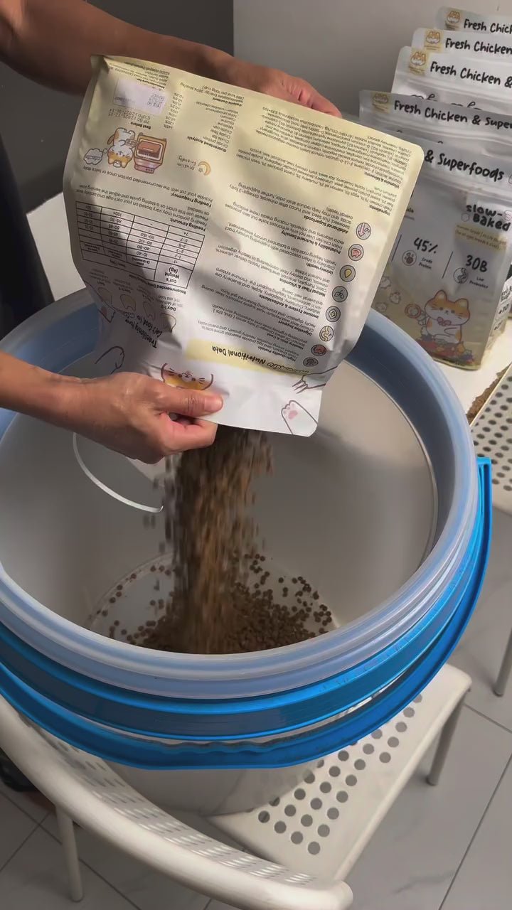 Load video: 